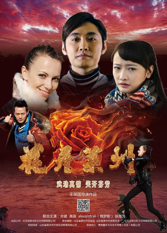 爱情公寓2剧情影视海报