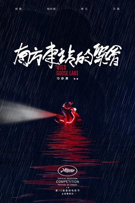 外来媳妇本地朗影视海报